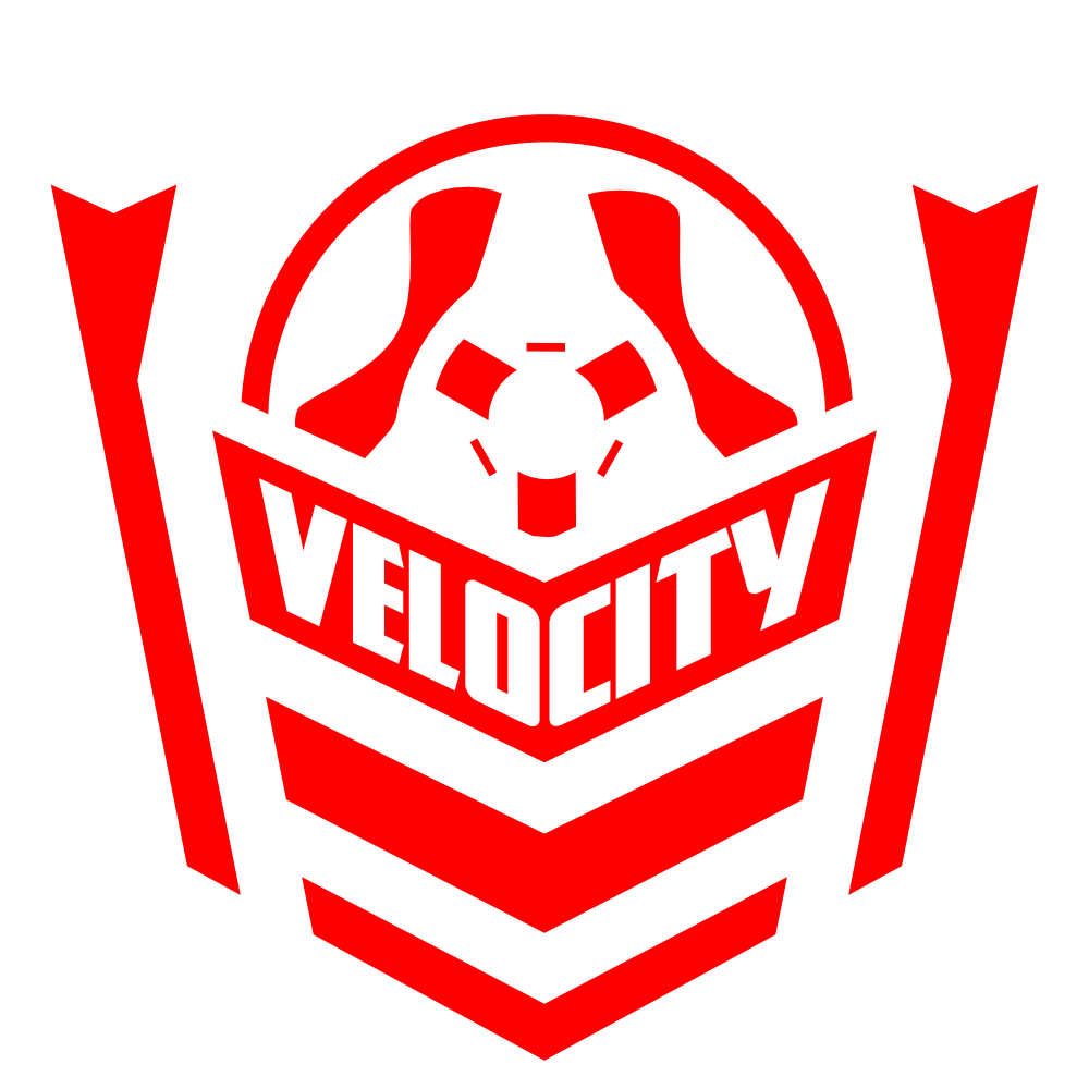 Vienna Velocity